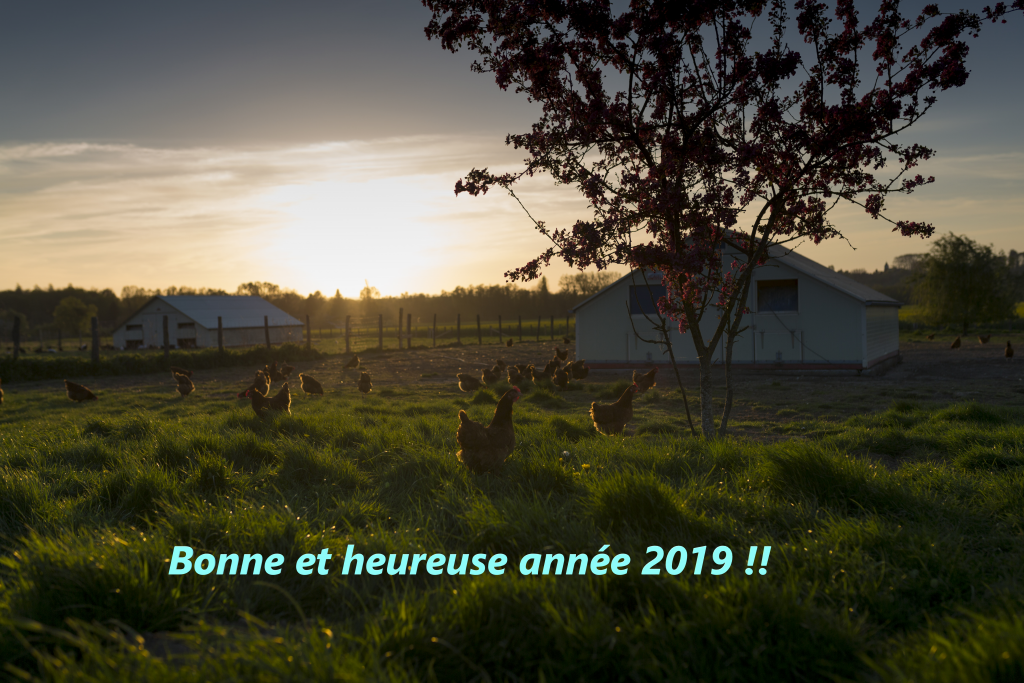 La Ferme de ma Grand mere